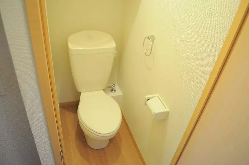 toilet